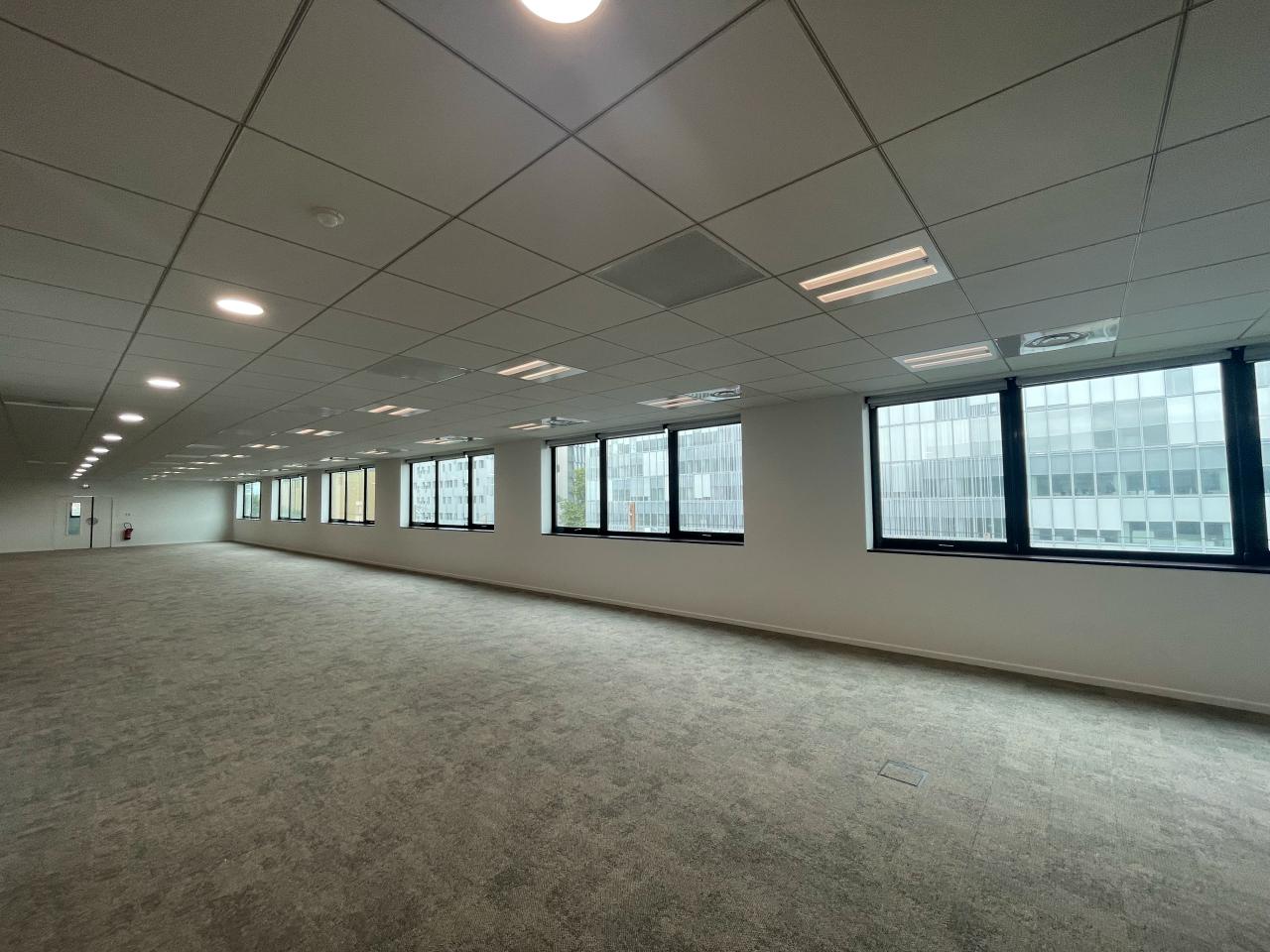 Bureau Lyon 5704m² Location bureau Lyon Rhône OLBUR2109182 14